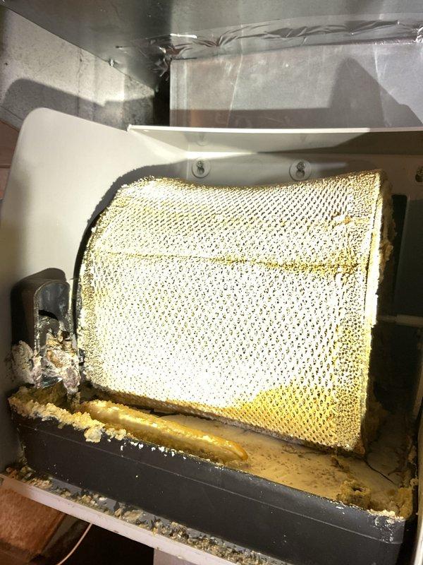 Completed comprehensive tune-up inspection on 10+ year old HVAC system located in basement. Performed thorough examination of furnace, humidifier, thermostat, and hot water tank as part of city certification inspection. Documented heavily soiled air filter showing significant dirt accumulation and discoloration, indicating need for immediate replacement to maintain proper airflow and system efficiency.