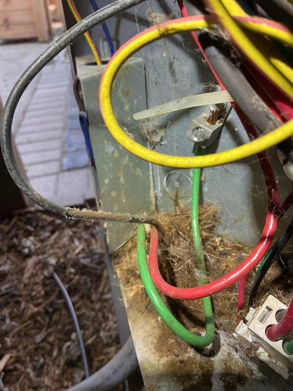 Completed Gold AC Inspection on residential air conditioning system with air handler located in basement. Performed comprehensive system evaluation including thermostat operation check, electrical connections inspection, and outdoor condenser unit assessment. Observed debris and nesting material accumulation around capacitor and wiring connections at outdoor unit, which was documented photographically. Verified thermostat functionality and system controls operating properly. Inspected electrical components including capacitor, contactor, and associated wiring connections showing normal age-related weathering. Noted organic debris buildup requiring attention to prevent potential electrical issues and maintain optimal airflow around condenser components.