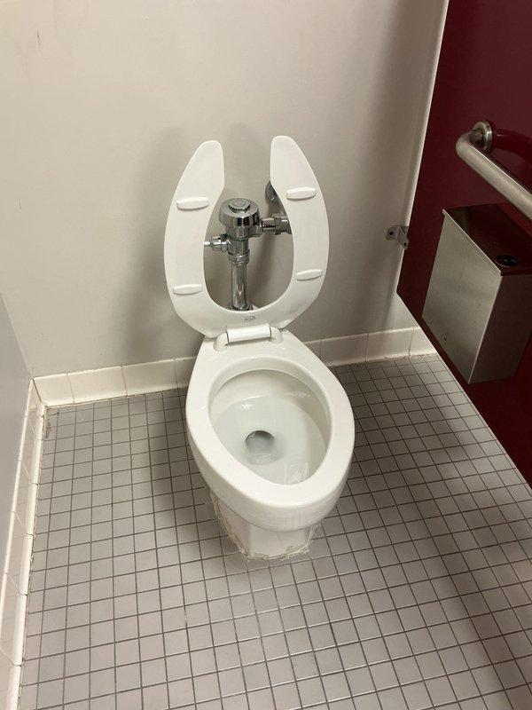 Completed installation of wall-mounted toilet in commercial bathroom facility. Installed manual flush valve assembly with chrome-plated components and cross-handle operation mechanism, ensuring proper mounting and secure connections to water supply line. Verified proper flush operation, water flow, and bowl refill cycle upon completion.