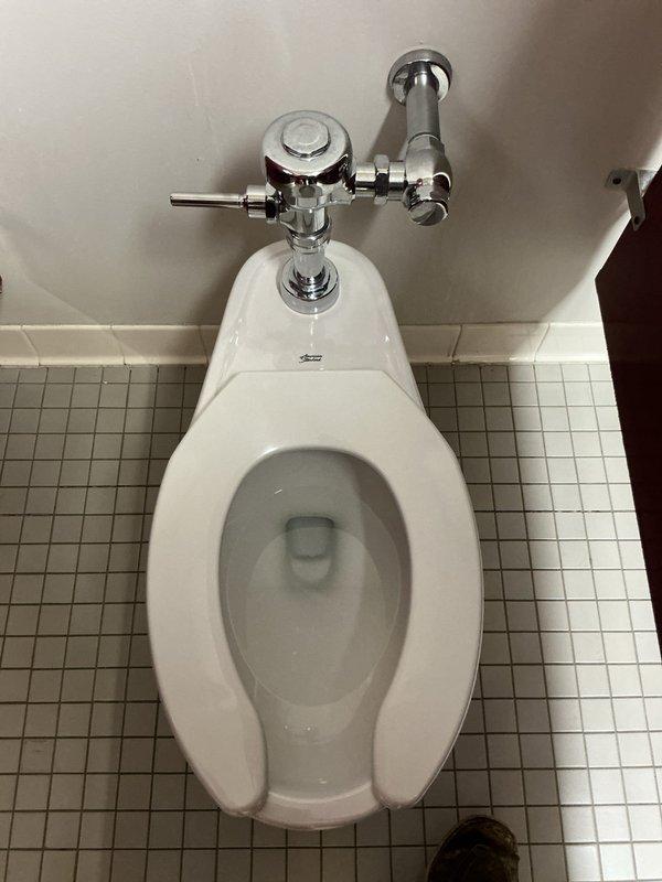 Completed installation of wall-mounted toilet in commercial bathroom facility. Installed manual flush valve assembly with chrome-plated components and cross-handle operation mechanism, ensuring proper mounting and secure connections to water supply line. Verified proper flush operation, water flow, and bowl refill cycle upon completion.