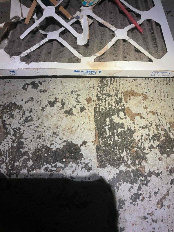 Completed comprehensive tune-up inspection on basement-located HVAC system of unknown age. Performed diagnostic testing of system performance parameters including CO2 levels, humidity readings, and temperature measurements using calibrated digital meter. Inspection included thorough evaluation of humidifier operation, thermostat functionality, air handler components, and hot water tank condition, with replacement of air filter as part of standard maintenance protocol.