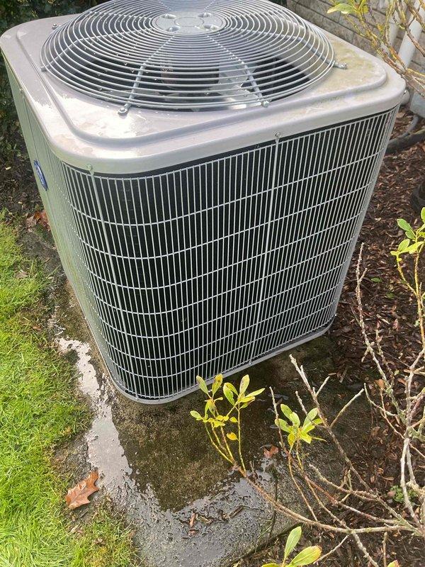 Completed comprehensive Gold AC inspection on residential 10+ year old single-zone cooling system with air handler located in basement. Performed thorough examination of outdoor condenser unit positioned on concrete pad, verifying operational status of all components including fan motor, compressor, and heat exchange coils. Inspected condenser cabinet for structural integrity, noting unit shows normal weathering consistent with age but remains in functional condition. Evaluated airflow through vertical louvers and confirmed proper clearance from surrounding vegetation and debris. Checked refrigerant lines, electrical conduit connections, and mounting stability on concrete pad. Documented equipment condition through photographic records showing condenser placement, exterior cabinet condition, and installation environment. System confirmed operational at time of inspection with no immediate service concerns identified.
