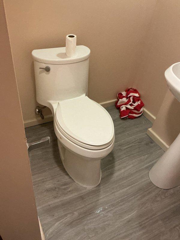 Completed toilet installation in residential bathroom. Installed new two-piece white porcelain toilet with chrome flush lever and supply line valve. Connected water supply line and verified proper operation of flush mechanism. Ensured secure mounting to floor flange and confirmed leak-free connections at all water supply points. Toilet positioned against back wall with proper clearances maintained for code compliance.