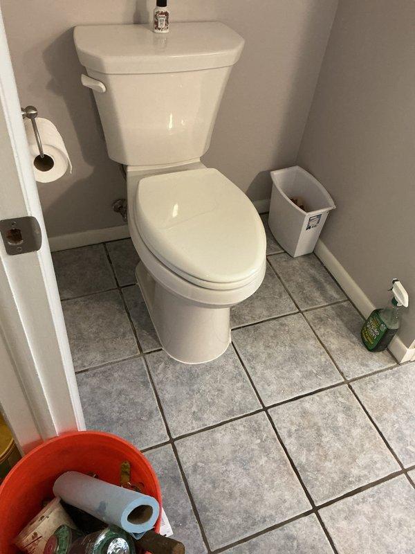 Completed toilet installation in residential bathroom. Installed new two-piece white porcelain toilet with chrome flush lever and supply line valve. Connected water supply line and verified proper operation of flush mechanism. Ensured secure mounting to floor flange and confirmed leak-free connections at all water supply points. Toilet positioned against back wall with proper clearances maintained for code compliance.