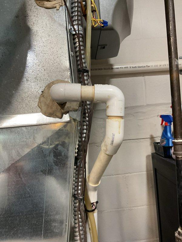 Completed preventive maintenance tune-up on 25-year-old coil system located in basement. Performed comprehensive inspection of evaporator coil, condensate drain lines, and associated PVC drainage system. Verified proper operation of all components, checked refrigerant levels, cleaned coil surfaces, and confirmed condensate drainage is flowing freely through drain lines without blockages.