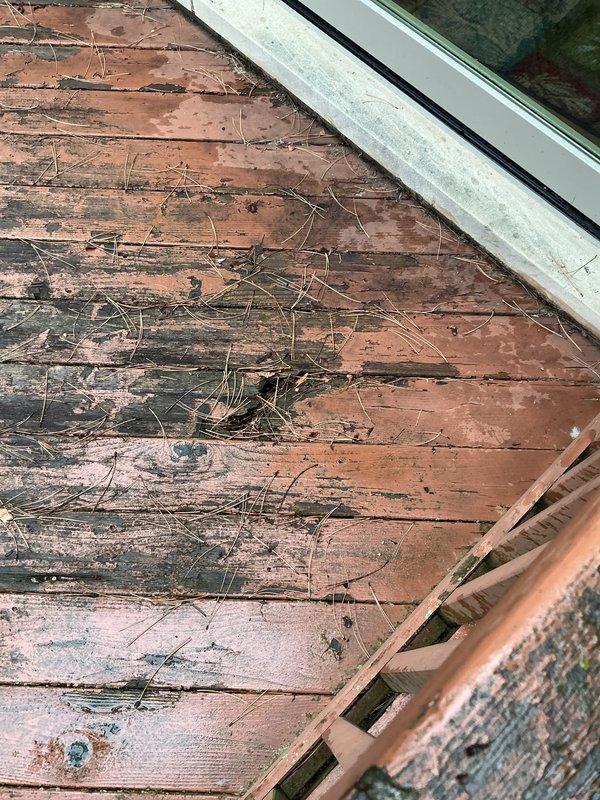 Completed prepaid maintenance inspection on a two-year-old residential HVAC system consisting of multiple units with air handler located in basement. Performed routine maintenance on outdoor condenser unit positioned on concrete pad in backyard, inspecting fan operation, protective grille, louvered panels, and overall unit condition. All equipment confirmed operational at time of service, with system functioning as designed.