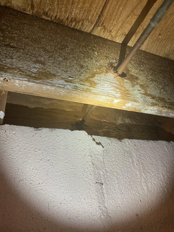 Conducted on-site assessment for hose bib replacement on exterior brick wall where existing outdoor plumbing assembly showed signs of age and potential failure points. Evaluated attic/crawl space above installation area and identified water damage on structural beams and corrugated metal ceiling panels, indicating possible leak from existing plumbing configuration. Documented current backflow prevention system, valve assembly, and piping connections to provide comprehensive estimate for new hose bib installation with proper drainage considerations to prevent future moisture intrusion into structural spaces.