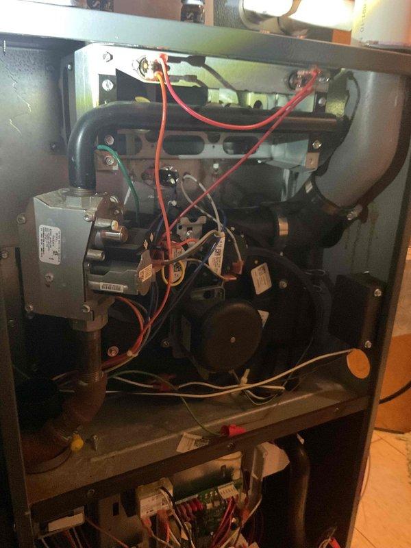 Performed comprehensive tune-up on 6-year-old residential HVAC system with coil located in basement. Inspected outdoor condenser unit and indoor furnace components, verifying proper operation of all mechanical and electrical systems. Documented equipment condition through photographs showing normal wear consistent with age, with all components functioning within manufacturer specifications at time of service.