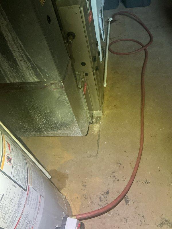 Responded to complaint of sulfur odor emanating from two tanked water heaters in residential property. Inspected both units and confirmed hydrogen sulfide smell commonly associated with bacterial reaction with magnesium or aluminum anode rods. Observed evidence of water leakage and moisture damage on basement concrete floor near equipment area. Documented existing conditions including water staining and HVAC equipment proximity. Recommended anode rod replacement with powered anode or zinc-aluminum alloy rods to eliminate sulfur bacteria growth and odor issue in both water heating systems.