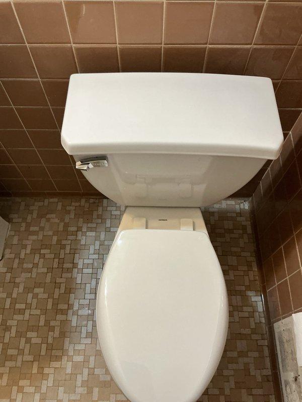 Removed and replaced existing main bathroom toilet with new Kohler ADA-compliant pressure-assist toilet in white. Completed full installation including tank assembly, seat mounting, and connection to existing floor drain and water supply line. Verified proper flush operation and seal integrity upon completion.