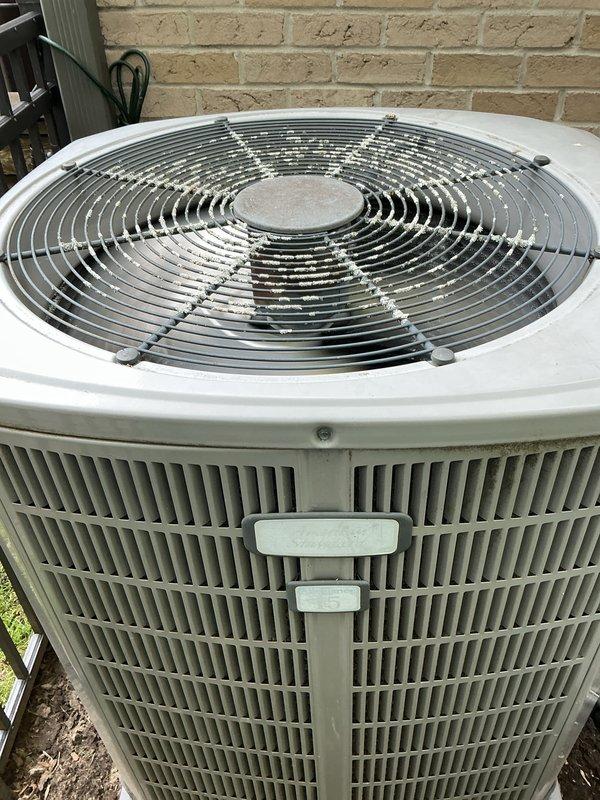 Completed comprehensive Gold AC inspection on 2-year-old Lennox ML14XC1S018 air conditioning system with basement-located furnace. Verified operational status of both AC units, inspected outdoor condensing unit for proper airflow and clearances, documented equipment specifications including HFC-410A refrigerant charge and electrical ratings, and confirmed furnace functionality. Advised customer to maintain clear area around condenser free of debris and animal waste for optimal system performance.