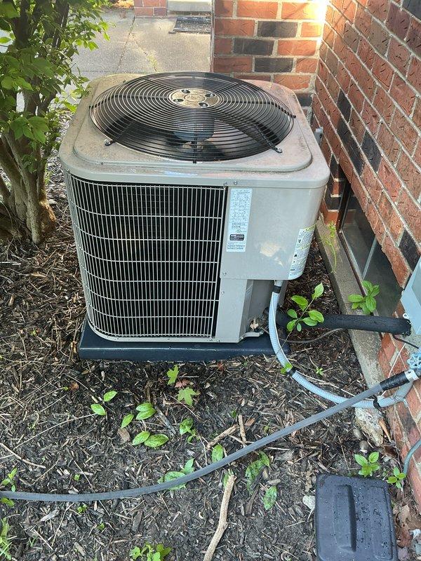 Completed comprehensive Gold AC inspection on an 8-year-old residential cooling system with air handler located in basement. Performed thorough evaluation of outdoor condensing unit positioned on concrete pad adjacent to building exterior. Inspected condenser coil, fan operation, refrigerant lines, and electrical connections. Documented equipment condition through photographic records showing unit situated in mulched landscaping area with surrounding vegetation. Advised customer on proper clearance requirements around condenser unit, emphasizing the need to maintain debris-free zone and remove any animal waste from vicinity to ensure optimal airflow and system performance. Verified all safety controls and operational parameters within manufacturer specifications. Customer renewed Gold Plan maintenance agreement during this visit.