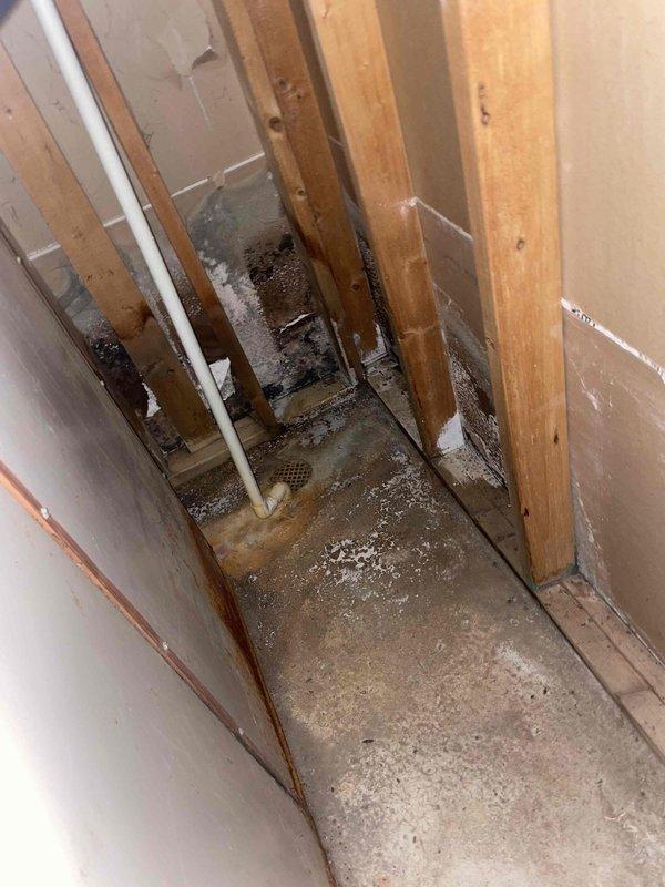 Conducted comprehensive assessment of existing HVAC system following reports of loud operational noise and recommendation for complete system replacement. Evaluated air handler unit condition, internal components including filter assembly and coil configuration, examined electrical connections and control systems. Inspected installation environment revealing moisture concerns in surrounding structure with evidence of water intrusion on concrete base and potential impact on equipment longevity. Provided detailed replacement estimate for new HVAC system based on current equipment age, component accessibility, and site conditions.