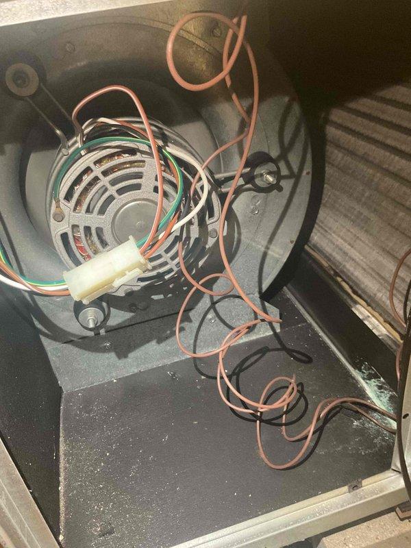Completed annual Gold AC inspection on 5-year-old air conditioning system located in attic. Performed comprehensive tune-up including visual inspection of evaporator coil assembly, which revealed ice and frost buildup along the bottom edge of the coil and drainage pan area. This condition indicates potential airflow restriction, refrigerant charge issues, or drainage problems requiring further diagnosis. Inspected blower compartment and motor assembly, noting loose electrical wiring arrangement within the housing. Documented all findings with photographs for service records. System requires follow-up to address freezing condition and ensure proper operation during cooling season.