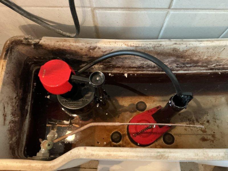 Responded to service call for toilet not flushing or receiving water. Upon inspection, found heavily stained toilet tank with significant mineral deposits and rust-colored buildup throughout interior surfaces. Fill valve assembly displayed extensive corrosion and mineral accumulation affecting water flow. Replaced deteriorated fill valve and corroded flush valve components. Installed new flapper seal to restore proper flush function. Tested system operation and confirmed toilet now filling and flushing properly with adequate water supply restored.