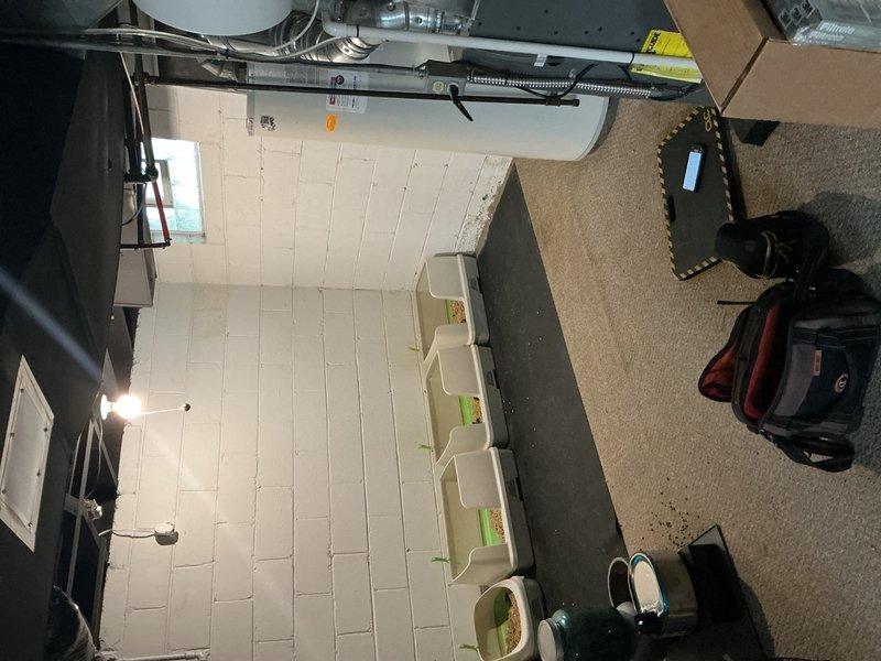 Completed comprehensive Gold AC Inspection on an 11-year-old air conditioning system with air handler/coil located in basement. System was operational at time of inspection. Advised customer that area surrounding outdoor condenser unit requires clearing of debris and animal waste, as litter boxes with waste were observed in close proximity to HVAC equipment. Performed complete system evaluation including visual inspection of ductwork, air handler components, and overall equipment condition. Customer was informed that weather conditions can affect inspection parameters, requiring rescheduling if temperatures fall below 65 degrees or during precipitation.