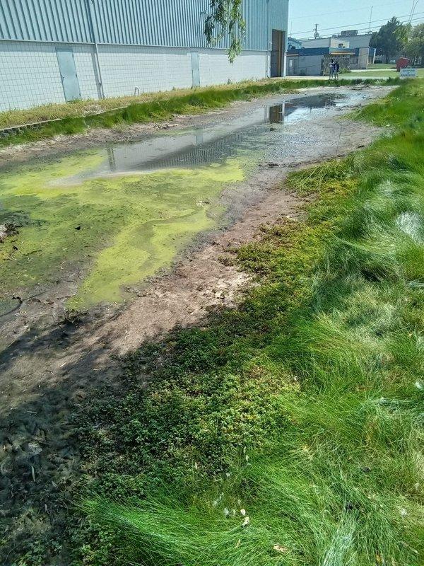 Responded to commercial property request to inspect exterior drainage system and evaluate potential sump pump needs. Conducted thorough site assessment of outdoor drainage infrastructure, documenting conditions with photographic evidence. Observed significant water accumulation in unpaved alleyway with visible algae growth indicating prolonged standing water and inadequate drainage. Identified drainage grate in roadway center with pooling water and poor surface grading contributing to retention issues. Examined perimeter drainage along building exterior, noting gravel-filled drainage areas with decorative concrete borders and mixed vegetation growth. Assessment revealed maintenance concerns including overgrown grass, muddy surface conditions with visible tire tracks, and compromised drainage functionality. Documented algae-covered puddles suggesting chronic drainage problems requiring intervention. Evaluated overall site drainage capacity and identified areas requiring remediation to p