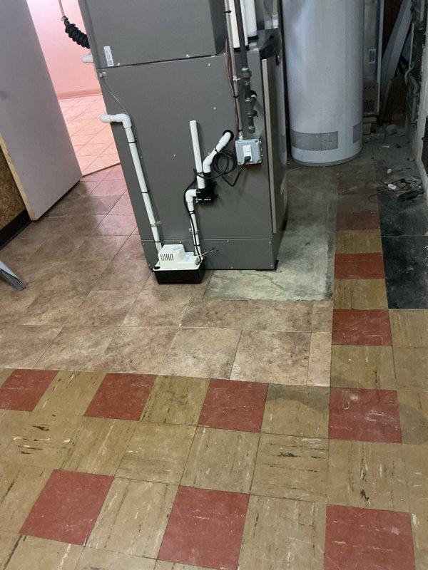 Completed installation of first-floor HVAC system including new furnace and air conditioning unit in basement utility room. Installed gray metal furnace on concrete pad with white PVC venting, flexible ductwork, condensate pump with drainage tubing, and proper electrical connections. System was permitted and qualifies for DTE energy rebate with AHRI certificate 216721606.