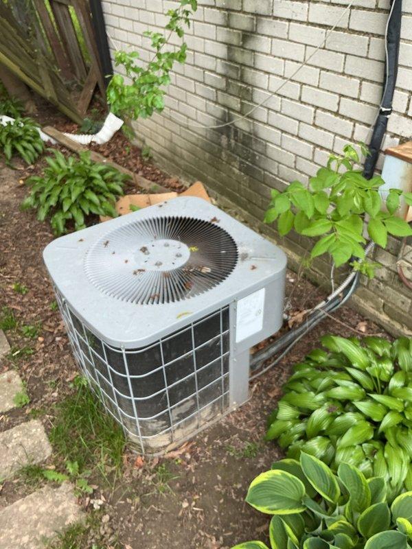 Responded to service call for non-operational 8-year-old outdoor AC unit. Upon arrival, performed diagnostic testing using digital multimeter to assess electrical components. Testing revealed failed capacitor, as indicated by open-loop reading on meter. Removed defective JARD capacitor from unit and prepared system for replacement. Documented equipment condition with photos showing capacitor failure and overall unit status. Unit exterior showed normal wear for age with debris accumulation on top grille and surrounding landscape area. Condenser coils and fan assembly inspected during diagnostic process.