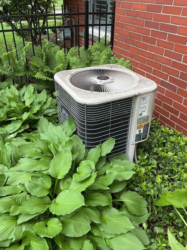 Completed comprehensive tune-up maintenance on two residential furnace systems: a 12-year-old unit located in the attic and a 3-year-old unit in the basement. Performed full system inspections including cleaning burner assemblies, checking gas pressure and flame characteristics, testing ignition systems, inspecting heat exchangers for cracks or deterioration, verifying proper venting and combustion air supply, calibrating thermostats, and testing all safety controls and limit switches. Replaced air filters and humidifier pads on both units as scheduled maintenance. Measured and recorded temperature rise across heat exchangers to ensure proper airflow and combustion efficiency. Inspected and tightened all electrical connections, verified proper amperage draw on blower motors, and lubricated motor bearings where applicable. Checked condensate drain lines for proper operation and cleared any blockages. Tested carbon monoxide levels in flue gases to confirm complete combustion. Both furnac