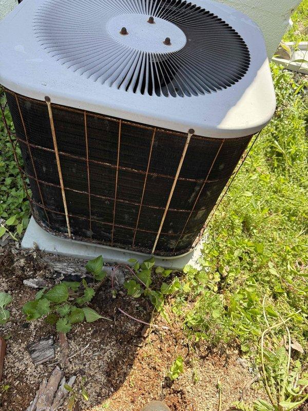 Responded to no cooling complaint at commercial business location for 25-year-old air conditioning system serving back building. Upon arrival, performed diagnostic evaluation of outdoor condenser unit and indoor components. Documented equipment condition through photography showing aged cylindrical condenser unit with visible weathering and outdoor exposure on concrete pad. System assessed for operational capacity given advanced age well beyond typical equipment lifespan. Completed troubleshooting procedures and provided customer with findings regarding unit performance and recommended next steps for maintaining climate control in affected area.