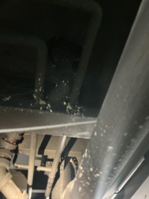 Responded to a recurring plumbing issue in the first-floor bathroom where a clogged drain had caused water leakage into the basement below. Inspected the bathroom fixtures, drain lines, and basement ceiling area to identify the source of the blockage and water intrusion. Cleared the obstruction from the drain system and assessed the plumbing connections to prevent future occurrences of this ongoing problem.