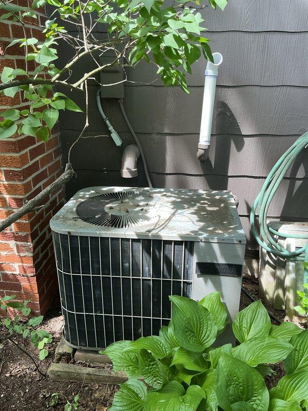 Completed HVAC estimate for cooling system replacement at residential property with small square footage (0-1500 sq ft). Assessed existing outdoor condenser unit located in side yard landscaped area and basement unit configuration. Documented current system condition including weathered condenser with cylindrical design, PVC condensate drain lines, electrical conduit routing, and equipment positioning between brick wall and exterior siding for replacement quote preparation.