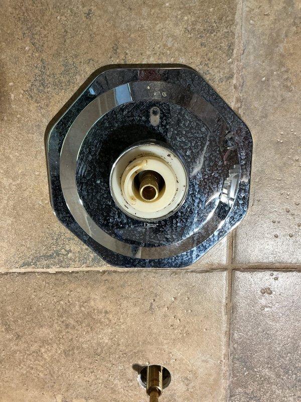 Replaced worn shower valve cartridges showing mineral buildup and deposits on the fixture assembly. Removed existing cartridges from the shower control valve, installed two new replacement cartridge units with mesh filtration components, and reassembled the octagonal escutcheon plate fixture to restore proper water flow and temperature control functionality.