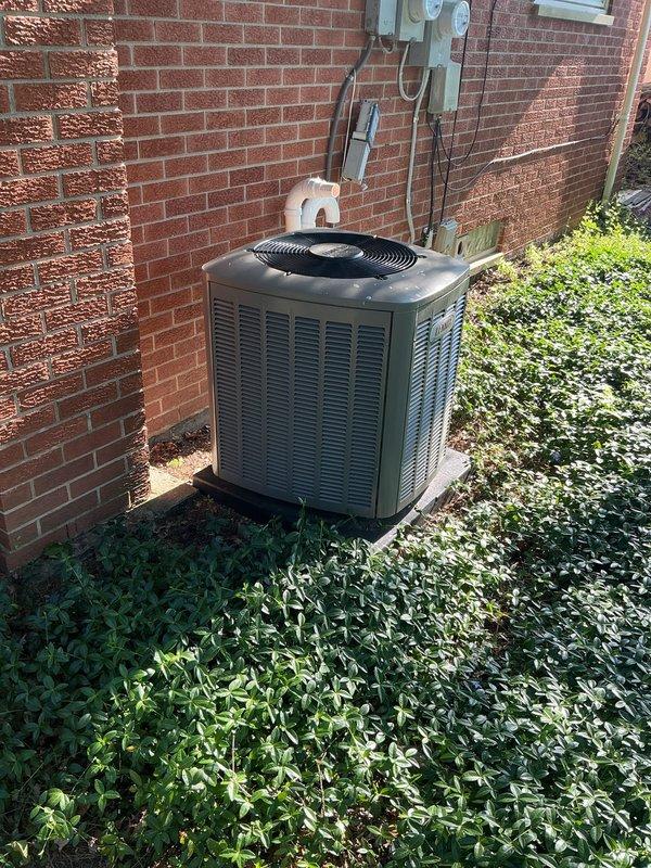 Completed comprehensive Gold AC inspection on a one-year-old residential air conditioning system with outdoor condenser unit and basement-located air handler. Performed thorough multi-point evaluation of the operational split system, which was confirmed to be in working condition prior to service. Inspected condenser unit mounted on concrete pad against exterior brick wall, examining fan operation, louver condition, and electrical disconnect box connections. Verified proper refrigerant line installation and electrical conduit routing from wall-mounted disconnect to unit. Assessed air handler components located in basement area. Documented equipment condition through photographic records showing condenser positioning, surrounding landscape clearance with ground cover vegetation, and overall system installation. Confirmed system operational status and completed all required inspection points per Gold maintenance protocol standards.