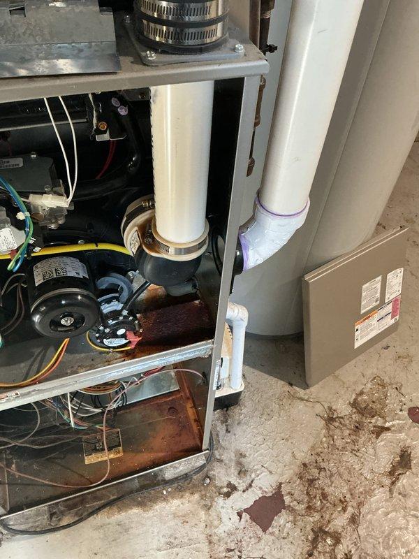 Responded to service call for water leak in basement affecting furnace and hot water tank installed in 2021. Upon arrival, discovered significant flooding throughout basement area with standing water and extensive water damage to floor surfaces. Inspected HVAC system and found condensate drainage system compromised, with PVC condensate lines showing signs of failure or blockage contributing to water accumulation. Removed furnace access panel to examine internal components including blower motor assembly and drainage connections. Documented extensive water staining on concrete floor beneath and around equipment, indicating prolonged or recurring leak issue. Photographed affected areas showing water intrusion, sediment buildup, and damage to surrounding storage areas. Equipment located in basement showed approximately 5 years of service life. Investigation revealed drainage system malfunction as primary source of water leak affecting both heating equipment and surrounding basement space.