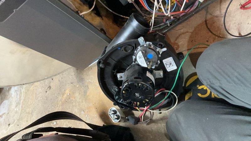 Responded to no heat call on furnace unit less than 10 years old. Upon arrival, confirmed unit was powering on but failing to produce heat. Removed access panel and performed diagnostic inspection of internal components including blower motor assembly, control board, and electrical connections. Identified issue with system operation and restored heating functionality. Verified proper blower motor operation, checked all wire connections to control board, and confirmed thermostat communication with unit. System tested successfully with heat output restored to normal operating parameters.