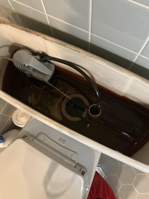 Responded to master bathroom toilet repair in 70-year-old home. Upon inspection, found heavily discolored water in tank with significant mineral buildup and rust staining throughout interior porcelain surfaces. Flush mechanism components including flapper valve, chain assembly, and flush valve showed signs of age-related deterioration and corrosion. Hard water deposits visible along waterline and tank walls indicated long-term mineral accumulation affecting flush performance. Documented tank condition with photographs showing extent of mineral deposits and water discoloration for maintenance records.
