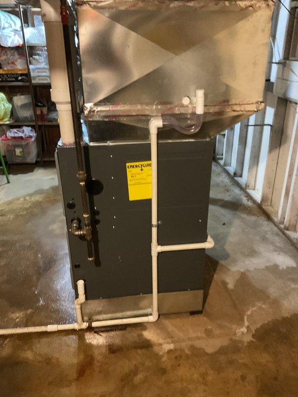 Completed installation of a 50-gallon standard tanked water heater in basement utility area. Unit was positioned against concrete block wall, with all supply lines, gas connections, and flue piping properly reconnected and secured to manufacturer specifications. Installation verified operational with all safety labels intact and visible.