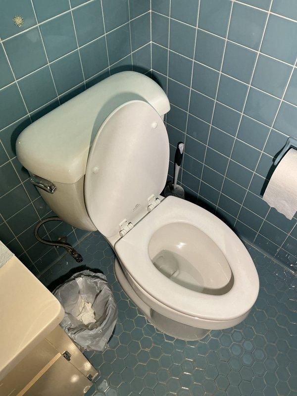 Successfully installed a bidet spray attachment to existing toilet fixture. Connected metallic hose assembly to water supply line with chrome fittings, ensuring proper water flow and pressure regulation. Mounted bidet sprayer holder to wall within easy reach of toilet, tested for leaks at all connection points, and verified full functionality of spray mechanism. All components secured and operational upon completion.