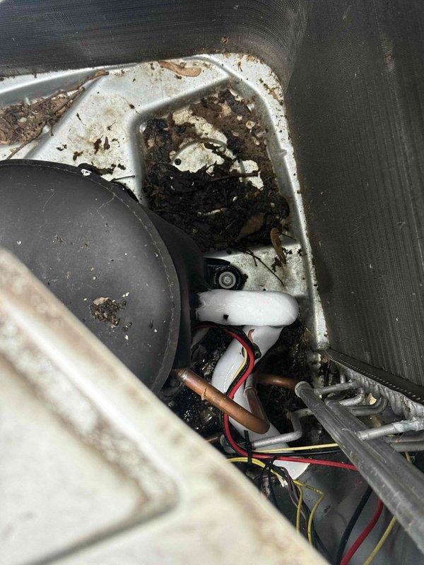 Responded to water leak complaint beneath basement furnace following recent rainfall. Upon arrival, allowed system to complete thaw cycle on return line before conducting comprehensive leak search. Inspected condensate drain pan and found significant accumulation of dirt, debris, and biological growth within the drain assembly. Float switch and associated wiring were examined and found operational despite heavy contamination in the pan area. Exterior inspection revealed weathered and corroded outdoor utility connections with evidence of moisture intrusion at foundation level where gray siding meets concrete wall. Documented conditions of both interior drain components and exterior penetration points through photographic evidence. The relatively new furnace installation (2-3 months) showed premature deterioration of drain system components, likely due to inadequate cleaning during installation or environmental factors. Identified that water accumulation beneath unit was related to conde