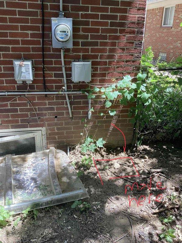 Performed comprehensive assessment of 23-year-old residential AC system with non-operational condenser unit. Evaluated Rheem furnace installation in basement mechanical space and inspected exterior condenser location at building perimeter near electrical meter and window well. Documented equipment condition, ductwork configuration, and system layout to provide full system replacement estimate due to condenser failure and age of existing equipment.