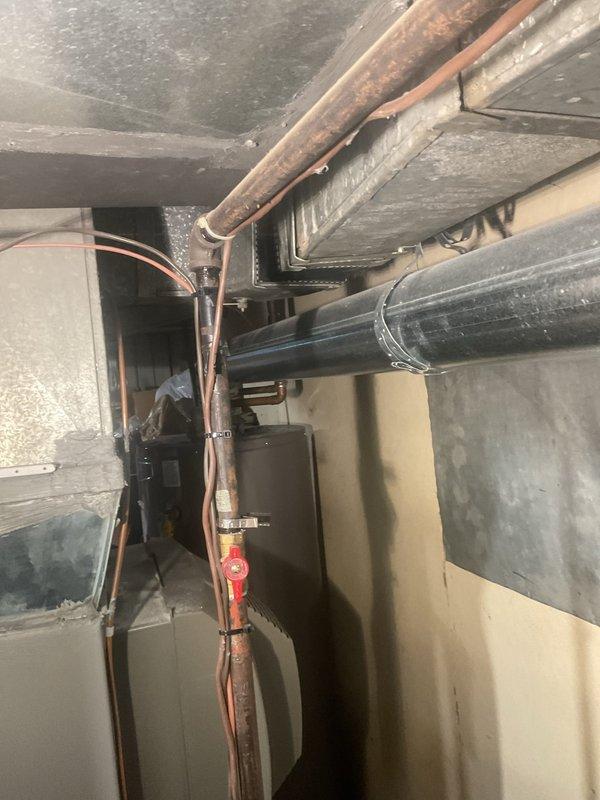 Provided estimate for replacement of non-functioning natural draft water heater with new 40-gallon short Rheem unit. Assessed existing installation in basement utility area, noting natural draft venting configuration and corroded copper supply piping. Customer approved Gold Plan coverage for installation of replacement tank-style water heater to restore domestic hot water service to residence.