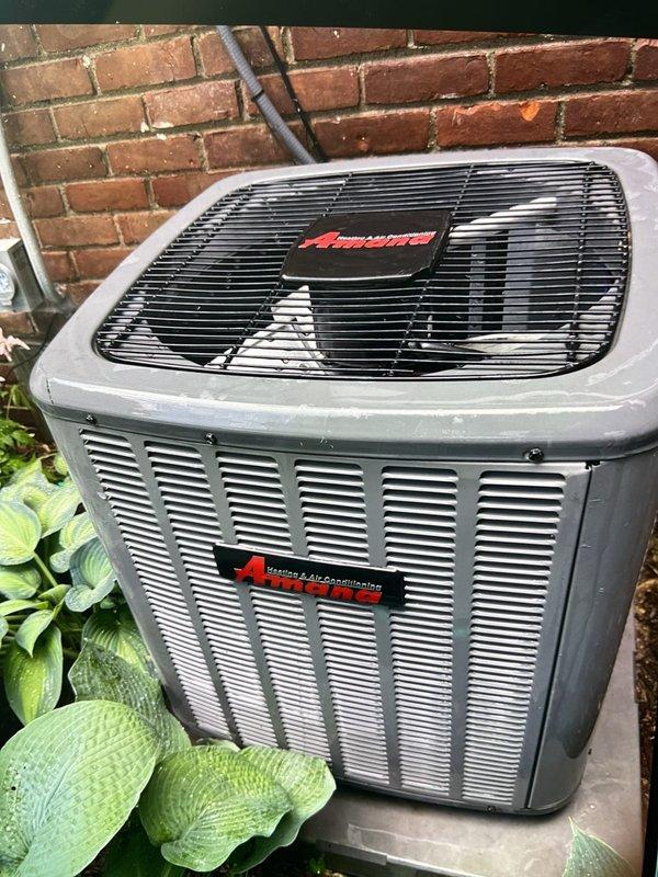 Completed comprehensive Gold AC inspection on 12-year-old residential air conditioning system with air handler located in basement. Performed thorough evaluation of outdoor condenser unit positioned against exterior brick wall, confirming operational status and inspecting all accessible components including top fan grille, protective louvers, and housing integrity. Observed minor weathering consistent with equipment age but verified unit remains structurally sound and functional. Noted presence of landscaping vegetation near condenser base and advised customer that area surrounding unit should be kept clear of debris and animal waste to maintain proper airflow and prevent potential performance issues. Documented equipment condition through photographic inspection showing intact protective grilles, mesh screening, and ventilation louvers. All inspection protocols completed per Gold service standards.