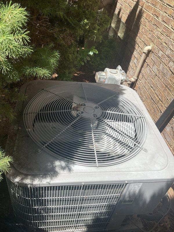 Completed comprehensive Gold AC Inspection on a 10+ year old air conditioning system with basement-located air handler. Performed thorough evaluation of outdoor condenser unit including inspection of fan operation, condenser coil condition, and overall unit performance. Examined indoor equipment and associated mechanical components in basement mechanical room, verifying proper operation of all system elements. System found to be operational at time of inspection with homeowner present.