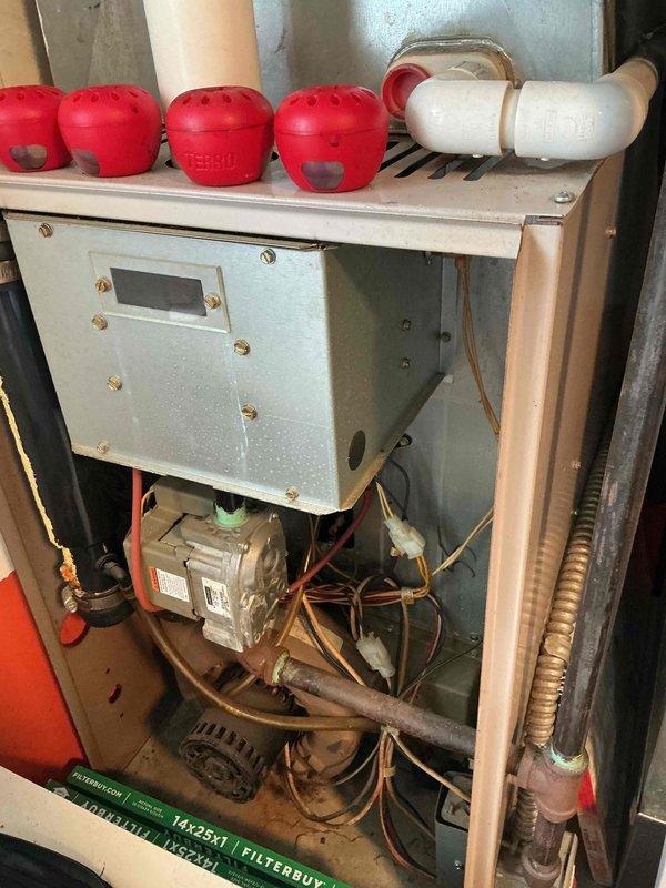 Completed comprehensive furnace inspection and tune-up on 15-20 year old unit located in downstairs corner of building. Performed full system diagnostics, verified proper burner ignition and flame pattern showing characteristic blue flames with proper combustion, inspected blower motor assembly and electrical connections, checked all safety controls and limit switches, and confirmed adequate airflow through system. All components found operating within manufacturer specifications with no immediate repairs required at this time.