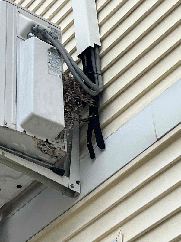 Responded to service call for 9-year-old air conditioning system with inadequate cooling performance. Upon inspection of elevated exterior condenser unit, discovered bird's nest constructed inside electrical disconnect box with extensive accumulation of twigs, grass, and nesting materials obstructing conduit and electrical components. Removed all nesting debris from disconnect enclosure to restore proper airflow and prevent potential electrical hazards. Cleaned and inspected all connections within the box, verified proper operation of disconnect switch, and confirmed conduit integrity. System tested and confirmed operational following nest removal and cleanup.