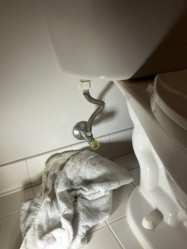 Completed toilet installation to address active leak at fixture base. Removed existing toilet, inspected flange and wax ring, and installed new toilet with proper sealing to prevent future water intrusion. Connected braided stainless steel flexible supply line to fill valve with secure fittings. Water damage evident on surrounding wall surfaces indicated previous long-term leakage from failed seal, which has been corrected with new installation.