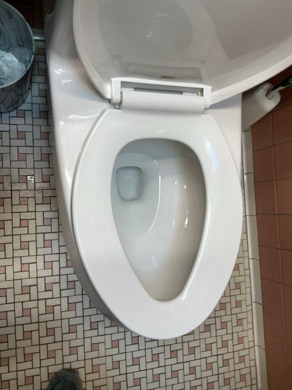 Responded to warranty claim for damaged toilet seat resulting from accidental impact during electrical work. Conducted on-site assessment to identify proper replacement seat specifications including size, style, and mounting configuration for the white porcelain toilet fixture. Documented existing toilet condition and surrounding bathroom components with photographic evidence showing intact bowl and tank assembly, mosaic tile flooring, and standard flush mechanism. Determined replacement seat requirements to proceed with warranty-covered repair.