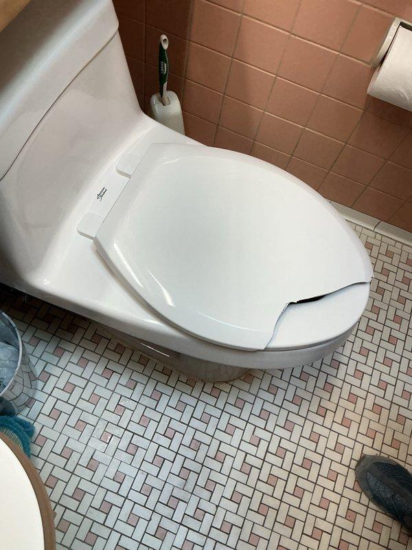 Responded to warranty claim for damaged toilet seat resulting from accidental impact during electrical work. Conducted on-site assessment to identify proper replacement seat specifications including size, style, and mounting configuration for the white porcelain toilet fixture. Documented existing toilet condition and surrounding bathroom components with photographic evidence showing intact bowl and tank assembly, mosaic tile flooring, and standard flush mechanism. Determined replacement seat requirements to proceed with warranty-covered repair.