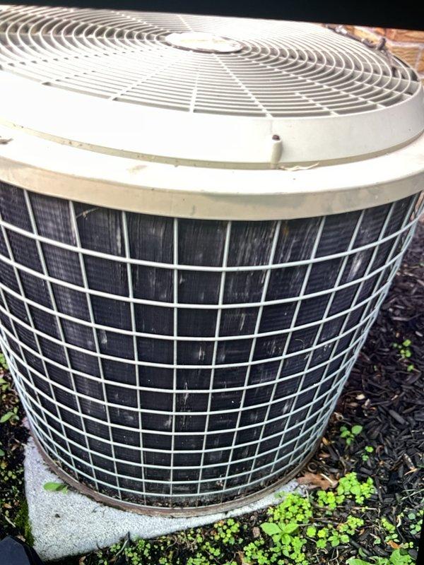 Completed comprehensive tune-up and city certification inspection on aging HVAC system consisting of 30+ year old gas furnace located in basement and 10+ year old outdoor condensing unit. Performed full system diagnostics, cleaned condenser coils, checked refrigerant pressures, inspected electrical connections, tested safety controls, and verified proper airflow on both heating and cooling systems. All components found operating within acceptable parameters; tagged system and documented condition for certification compliance.