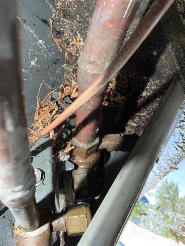# Gold AC Inspection - HVAC Maintenance

Completed comprehensive air conditioning tune-up and inspection under plan membership. Performed thorough examination of outdoor condensing unit, including evaluation of refrigerant lines, electrical connections, and overall system condition.

## Inspection Findings

Outdoor unit exhibited moderate weathering consistent with age and environmental exposure. Copper refrigerant lines showed surface oxidation and corrosion typical of older systems. Significant debris accumulation observed within unit cabinet, including leaves, dirt, and spider webs around refrigerant line connections and internal components. Black insulation on refrigerant lines displayed deterioration and displacement in multiple areas.

Unit exterior showed substantial staining and discoloration on side panel, indicating possible water intrusion or biological growth. Concrete pad displayed heavy algae and moss growth, suggesting inadequate drainage or moisture retention. Equipment