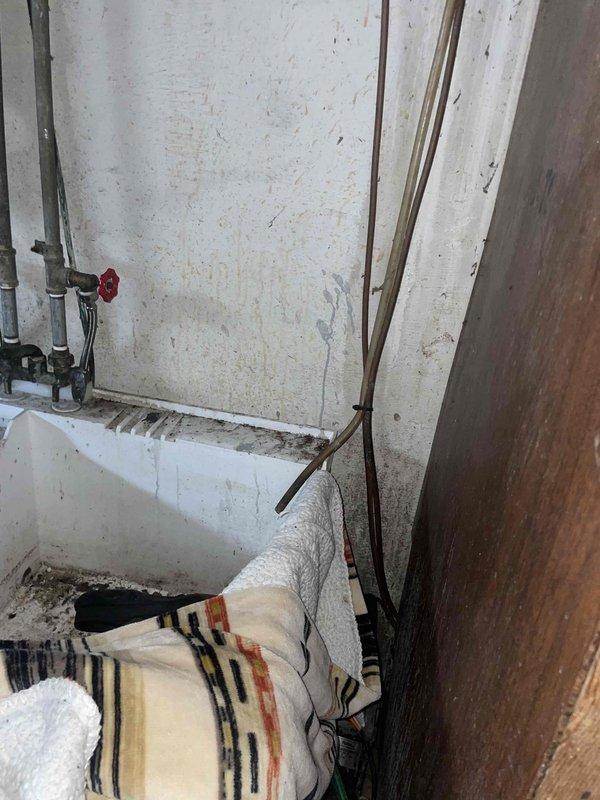 Conducted on-site assessment for replacement estimate of 30-year-old air conditioning unit located in basement. Inspected existing system and surrounding utility infrastructure, documented current condition of equipment and installation area. Photographed outdoor condenser location showing weathered electrical disconnect box with rust staining on exterior siding, and interior basement mechanical room with aging plumbing, heating elements, and concrete block walls displaying typical wear patterns for system age.