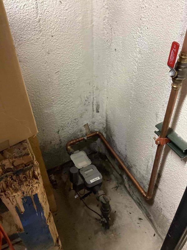 Conducted site evaluation for HVAC equipment replacement estimate including generator, second air conditioning unit, and potential furnace replacement. Assessed existing basement-located equipment and upstairs installation requirements. Documented current plumbing infrastructure, existing utility connections, and outdoor equipment placement areas to provide comprehensive replacement options with individual pricing breakdown for each system component.