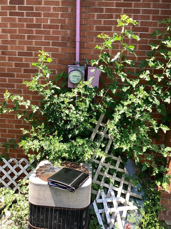 Conducted full system evaluation for complete HVAC replacement at residential property. Assessed existing Trane XE 80 furnace in basement and outdoor condensing unit mounted on exterior brick wall near electrical meter, documenting current equipment condition and installation specifications through detailed photography. Provided comprehensive estimate for new system installation to replace aging equipment.