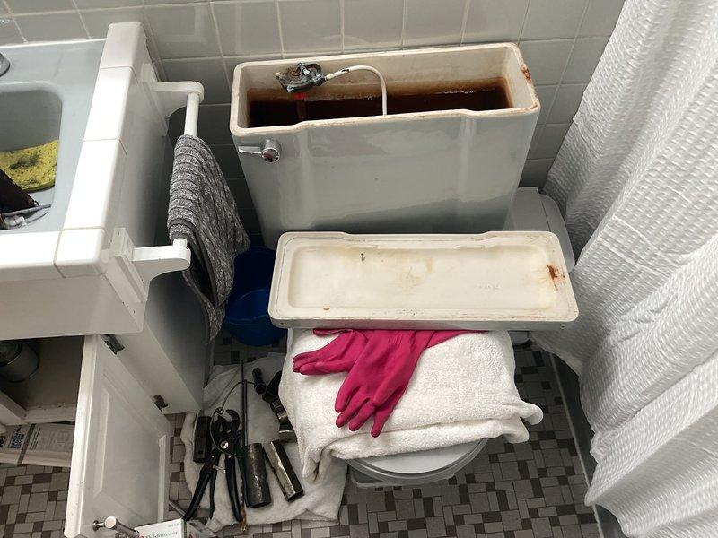 Responded to a toilet tank leak that had been occurring for approximately 25 days. Upon arrival, found that the homeowner had attempted to replace a faulty fill valve but was unable to remove the corroded tank mounting bolt. Successfully removed the seized bolt from beneath the tank, replaced the defective fill valve assembly, and restored proper tank function. Addressed significant rust staining and mineral buildup observed inside the tank during the repair. Additionally installed a new bathroom faucet and shower arm as requested. All fixtures tested and confirmed operational with no leaks detected upon completion.